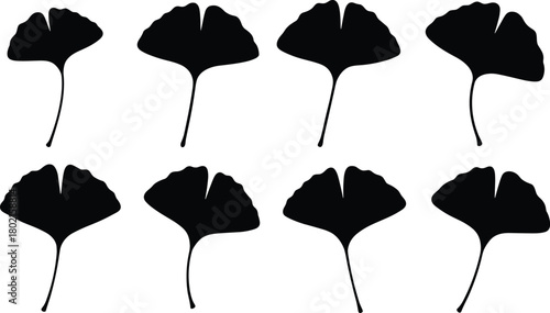 Collection of stylized ginkgo leaf silhouettes arranged in two neat rows, showcasing natural fan-shaped forms and organic botanical variation