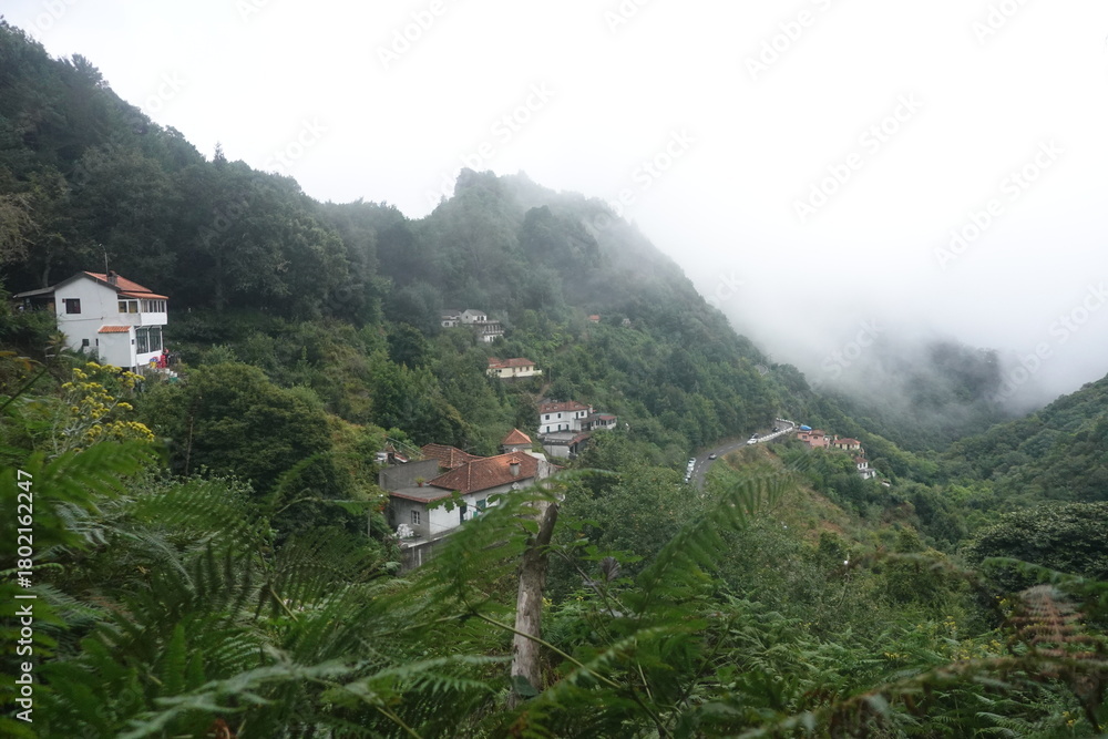 Obraz premium Madeira
