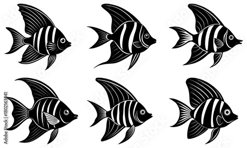 Six black and white striped angelfish displayed in two rows of three on a white background image