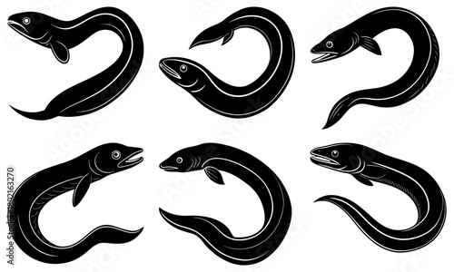 Collection of six stylized black and white eel illustrations in various curved poses and orientations
