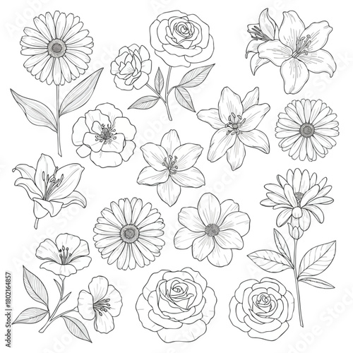 Black and White Hand Drawn Floral Collection