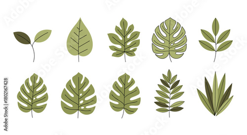 A collection of stylized green leaves in various shapes and sizes, presented as a botanical illustration for design projects and nature-themed artwork.