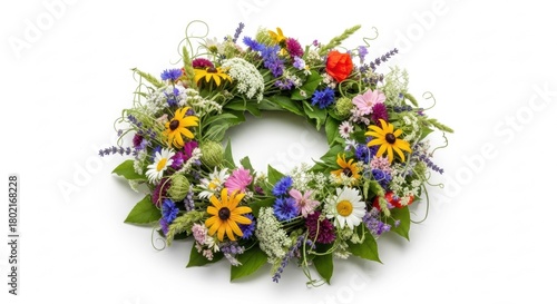 Colorful Summer Meadow Flower Wreath on White Background, Flowers, Floral, Nature