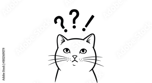 A curious cat with a questioning expression looks upward at question marks and an exclamation point, conveying confusion and surprise.