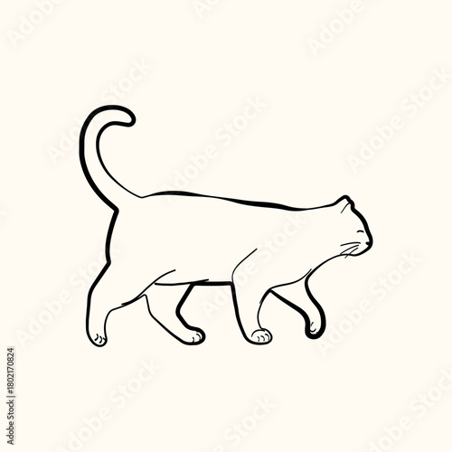 Whimsical doodle cat pose vector illustration. Cute kitten, hand drawn linear cat in different poses sitting, sleeping, playing and jumping