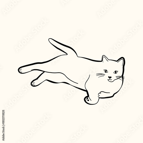 Whimsical doodle cat pose vector illustration. Cute kitten, hand drawn linear cat in different poses sitting, lying down, sleeping