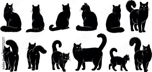 Collection of black cat silhouettes in various poses and sizes on a white background