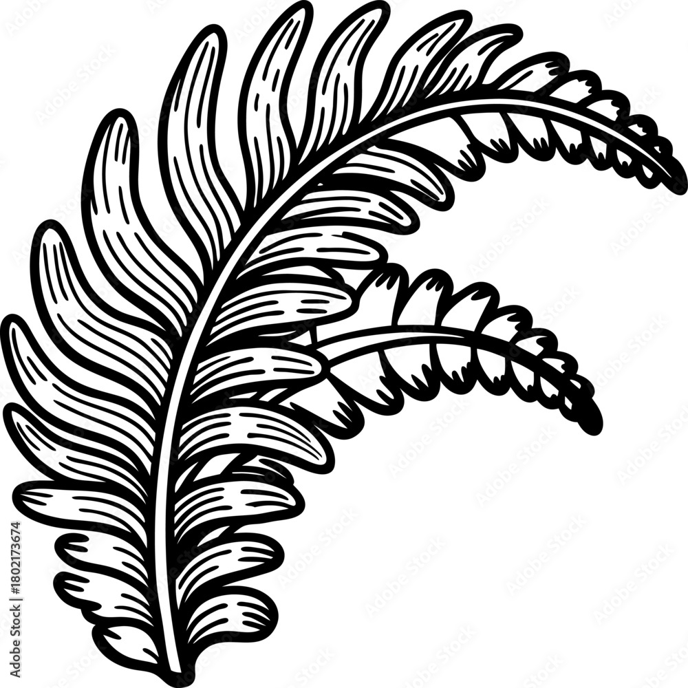Obraz premium Hand drawn tropical fern leaf illustration botanical black and white contour foliage design, nature element