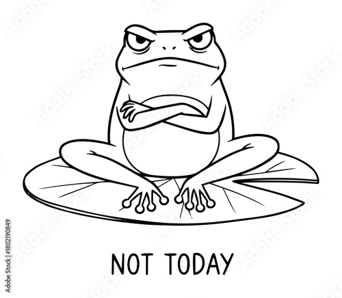 grumpy frog says not today funny cartoon quote