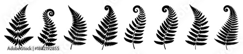 fern leaf silhouette botanical plant icon set