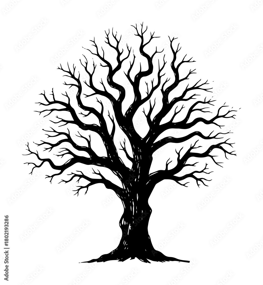 Obraz premium old leafless winter tree silhouette vector illustration