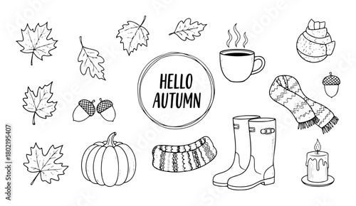 autumn fall season hand drawn doodle elements vector
