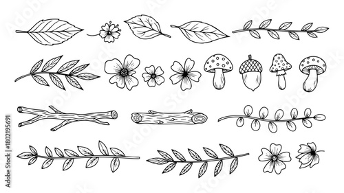 hand drawn botanical elements set vintage forest doodles