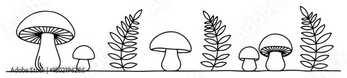 mushrooms and fern leaves border line art