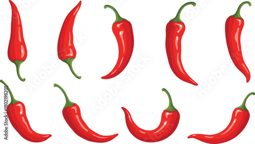 Vector illustration of red chili pepper vegetables, spicy hot food ingredient set, fresh organic capsicum, green stem, various chili shapes, culinary healthy cooking, natural flavor, flat graphic art