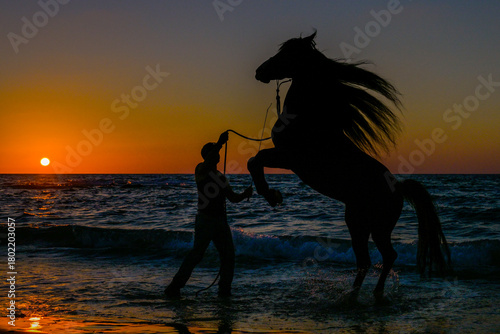 Horse Rearing on the Beach at Sunset
