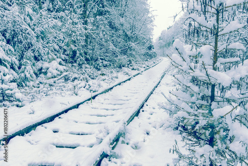 Snowy forest journey, Frostcovered railway stretching through remote forested landscape under cloudy sky