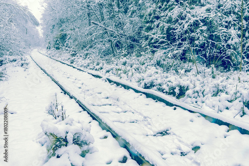 Snowy forest journey, Frostcovered railway stretching through remote forested landscape under cloudy sky