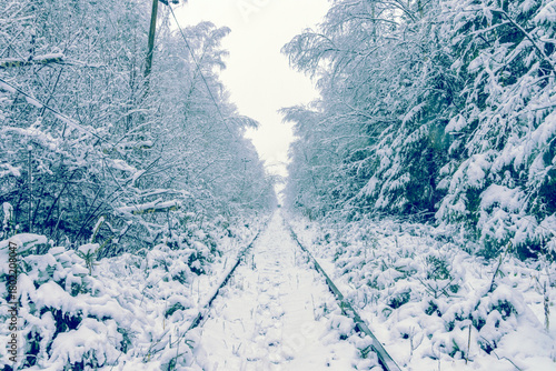 Snowy forest journey, Frostcovered railway stretching through remote forested landscape under cloudy sky