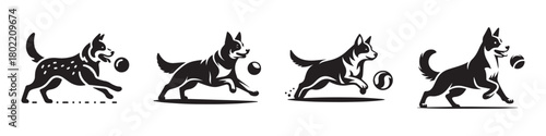 Dog Playing Ball Sequence: Dynamic Action and Playful Movement.