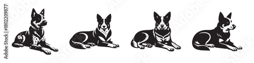 Dogs in a row black and white resting looking forward side view illustration.