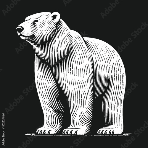 Majestic Polar Bear Illustration in Striking Black and White.