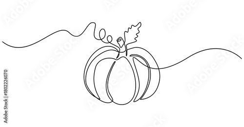 Continuous one line drawing of pumpkin vegetable outline minimalist style. Isolated on transparent background
