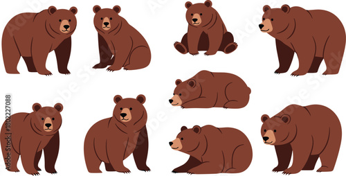 Set of cartoon brown bear poses, cute forest animal character collection for children, wildlife education, vector illustration, playful design elements