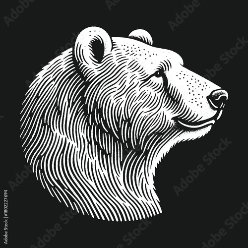 Detailed Bear Portrait in Engraving Style on Black Background.