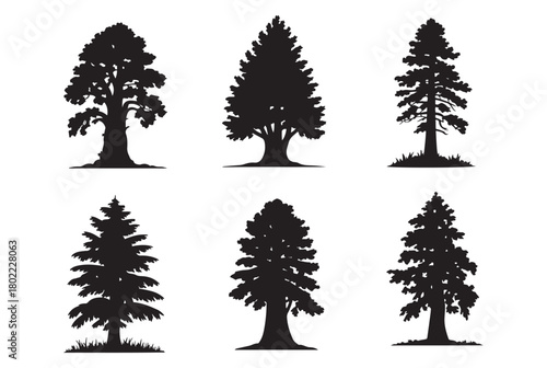 Tree Silhouette Vector Set. Pine, Cedar, and Oak Black Forest Illustrations.