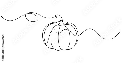 Continuous one line drawing of pumpkin vegetable outline minimalist style. Isolated on transparent background