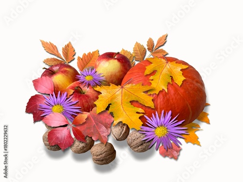 Autumn arrangement of pumpkin, flowers, leaves and nuts