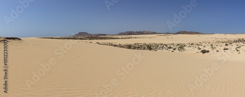 Désert et dunes  de sable de l'ile de fuerteventura