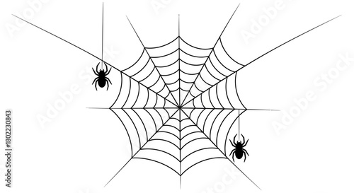 Two spiders hanging from a detailed, symmetrical spiderweb against a plain white background.