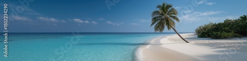 Tranquil tropical beach with clear blue water and palm tree on white sand shore
