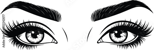 Stylized human eyes illustration, black and white artwork, dramatic eyelashes, expressive eyebrows, iris detail, beauty concept, fashion sketch design