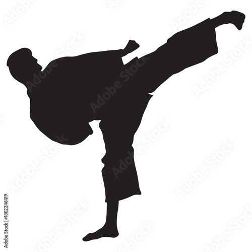 Martial Arts Pose Silhouette