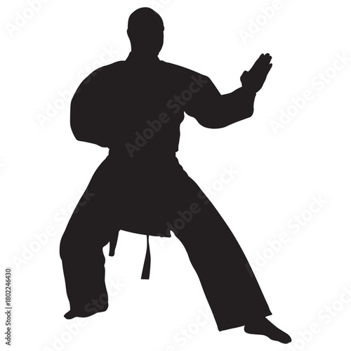 Martial Arts Pose Silhouette