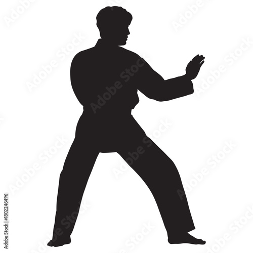 Martial Arts Pose Silhouette
