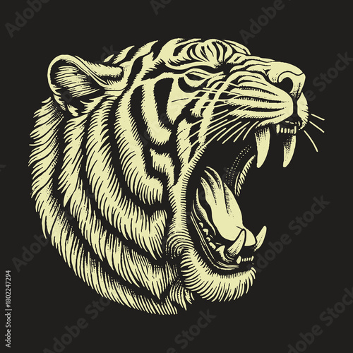 Roaring Tiger Head Illustration: Powerful Animal Portrait.