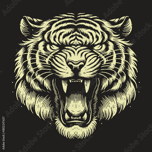 Tigers fierce face a detailed illustration on black background.