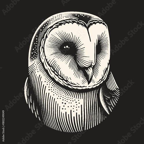 Detailed monochrome illustration of a barn owl artistic engraving style.
