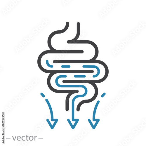 Process Digestive Transit Icon Vector Line Illustration