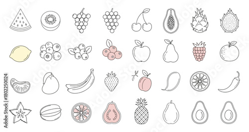 Assorted Outline Fruits Watermelon, Kiwi, Grapes, Cherry, Papaya, Dragonfruit