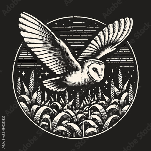 Majestic Barn Owl Soaring Above Wheat Field at Night.