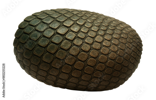 Reptile skin featuring overlapping scales and a tough, keratinized surface.