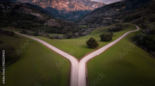 divergence. A symbolic fork in the road with two diverging paths under a dramatic sky, representing choices. wellbeing guides, coaching materials, designed for coaching and self-improvement content.
