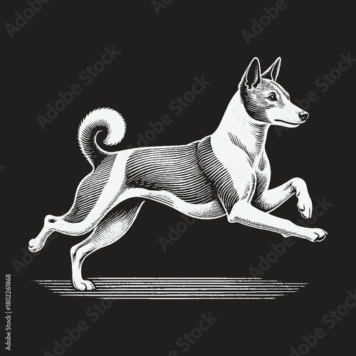 Elegant Basenji Dog in Mid-Air: A Graceful Canine Portrait.