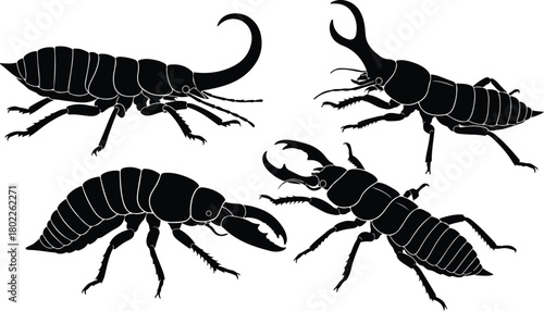insect vector beetle silhouette