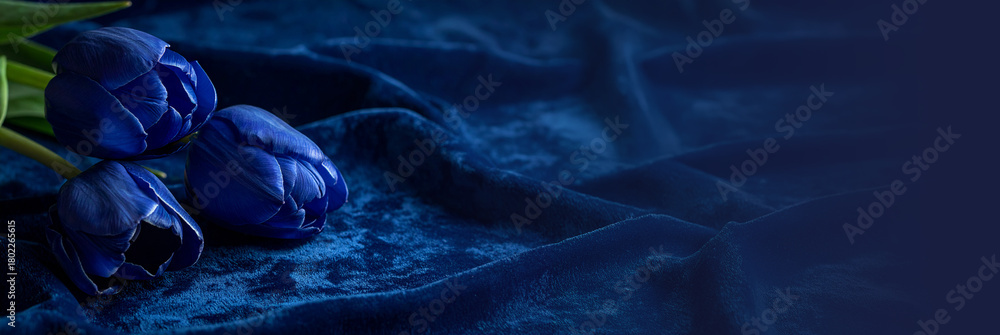 Fototapeta premium Baner kwiaty